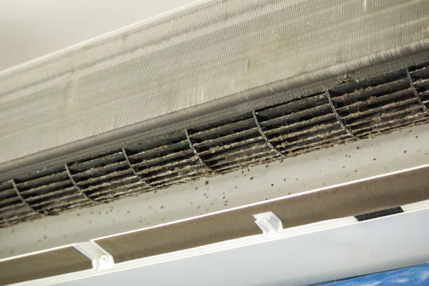 Best HVAC Air Duct Cleaning  in Meadow Vale, KY