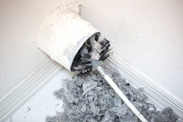 Best Air Duct Mold Removal  in Meadow Vale, KY